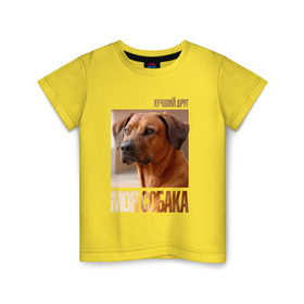 Детская футболка хлопок с принтом Родезийский риджбек , 100% хлопок | круглый вырез горловины, полуприлегающий силуэт, длина до линии бедер | Тематика изображения на принте: drug | порода | родезийский риджбек | собака