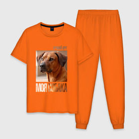 Мужская пижама хлопок с принтом Родезийский риджбек , 100% хлопок | брюки и футболка прямого кроя, без карманов, на брюках мягкая резинка на поясе и по низу штанин
 | Тематика изображения на принте: drug | порода | родезийский риджбек | собака