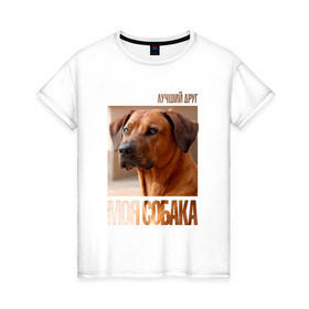 Женская футболка хлопок с принтом Родезийский риджбек , 100% хлопок | прямой крой, круглый вырез горловины, длина до линии бедер, слегка спущенное плечо | drug | порода | родезийский риджбек | собака