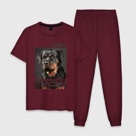 Мужская пижама хлопок с принтом Ротвейлер , 100% хлопок | брюки и футболка прямого кроя, без карманов, на брюках мягкая резинка на поясе и по низу штанин
 | drug | порода | собака