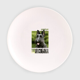 Тарелка с принтом Скотч-терьер , фарфор | диаметр - 210 мм
диаметр для нанесения принта - 120 мм | drug | порода | скотч | собака