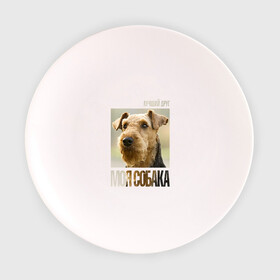 Тарелка с принтом Эрдельтерьер , фарфор | диаметр - 210 мм
диаметр для нанесения принта - 120 мм | drug | порода | собака | эрдельтерьер