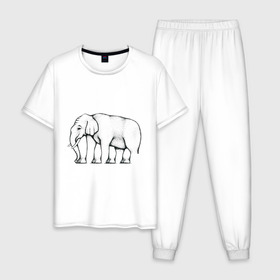 Мужская пижама хлопок с принтом Сколько ног у слона , 100% хлопок | брюки и футболка прямого кроя, без карманов, на брюках мягкая резинка на поясе и по низу штанин
 | слон