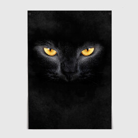 Постер с принтом Черная кошка , 100% бумага
 | бумага, плотность 150 мг. Матовая, но за счет высокого коэффициента гладкости имеет небольшой блеск и дает на свету блики, но в отличии от глянцевой бумаги не покрыта лаком | Тематика изображения на принте: глаза | киса | кот | котик | кошка | черная кошка
