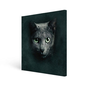 Холст квадратный с принтом Серый кот , 100% ПВХ |  | киса | кот | котик | кошка | серый кот