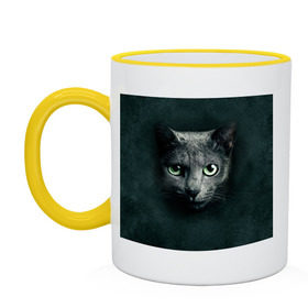 Кружка двухцветная с принтом Серый кот , керамика | объем — 330 мл, диаметр — 80 мм. Цветная ручка и кайма сверху, в некоторых цветах — вся внутренняя часть | Тематика изображения на принте: киса | кот | котик | кошка | серый кот