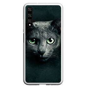 Чехол для Honor 20 с принтом Серый кот , Силикон | Область печати: задняя сторона чехла, без боковых панелей | киса | кот | котик | кошка | серый кот