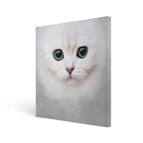 Холст квадратный с принтом Белый котик , 100% ПВХ |  | белая кошка | киса | кот | котик | кошка