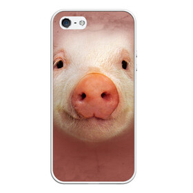 Чехол для iPhone 5/5S матовый с принтом Хрюшка , Силикон | Область печати: задняя сторона чехла, без боковых панелей | свинка | свинья | хрюшка