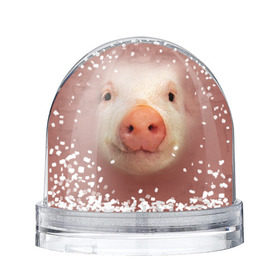 Снежный шар с принтом Хрюшка , Пластик | Изображение внутри шара печатается на глянцевой фотобумаге с двух сторон | свинка | свинья | хрюшка
