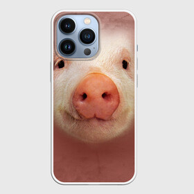 Чехол для iPhone 13 Pro с принтом Хрюшка ,  |  | свинка | свинья | хрюшка