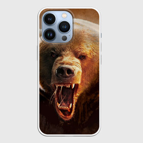 Чехол для iPhone 13 Pro с принтом Медведь ,  |  | медведь | мишка