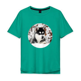 Мужская футболка хлопок Oversize с принтом Щенок хаски , 100% хлопок | свободный крой, круглый ворот, “спинка” длиннее передней части | dog | husky | собака | хаски | щенок