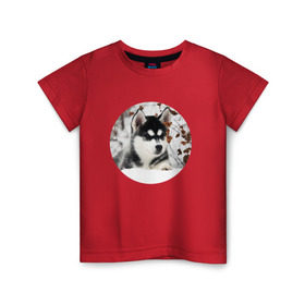 Детская футболка хлопок с принтом Щенок хаски , 100% хлопок | круглый вырез горловины, полуприлегающий силуэт, длина до линии бедер | Тематика изображения на принте: dog | husky | собака | хаски | щенок