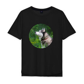 Мужская футболка хлопок Oversize с принтом Хаски , 100% хлопок | свободный крой, круглый ворот, “спинка” длиннее передней части | dog | husky | собака | хаски | щенок