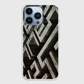 Чехол для iPhone 13 Pro с принтом Бегущий в лабиринте ,  |  | the maze runner | бегущий в лабиринте