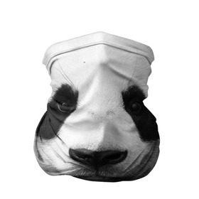 Бандана-труба 3D с принтом Панда , 100% полиэстер, ткань с особыми свойствами — Activecool | плотность 150‒180 г/м2; хорошо тянется, но сохраняет форму | панда