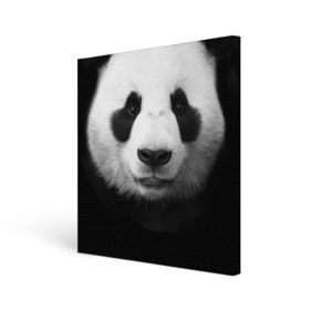 Холст квадратный с принтом Панда , 100% ПВХ |  | панда
