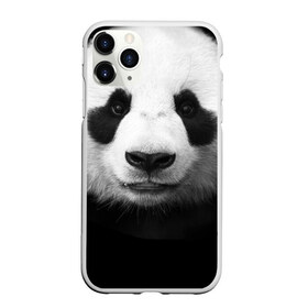 Чехол для iPhone 11 Pro матовый с принтом Панда , Силикон |  | панда