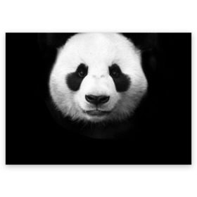 Поздравительная открытка с принтом Панда , 100% бумага | плотность бумаги 280 г/м2, матовая, на обратной стороне линовка и место для марки
 | панда