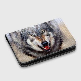 Картхолдер с принтом с принтом Волк , натуральная матовая кожа | размер 7,3 х 10 см; кардхолдер имеет 4 кармана для карт; | Тематика изображения на принте: волк | животные | злой волк | зубы | оскал