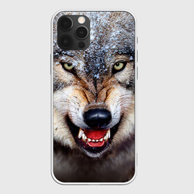 Чехол для iPhone 12 Pro с принтом Волк , силикон | область печати: задняя сторона чехла, без боковых панелей | Тематика изображения на принте: волк | животные | злой волк | зубы | оскал