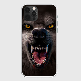 Чехол для iPhone 12 Pro с принтом Злой волк , силикон | область печати: задняя сторона чехла, без боковых панелей | Тематика изображения на принте: волк | животные | злой волк | зубы | оскал