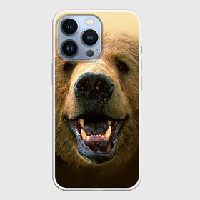Чехол для iPhone 13 Pro с принтом Мишка ,  |  | бурый | гризли | животные | медведь | мишка