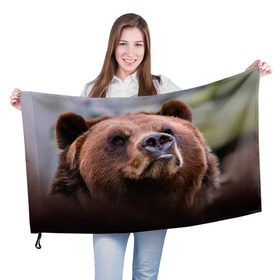 Флаг 3D с принтом Медведь , 100% полиэстер | плотность ткани — 95 г/м2, размер — 67 х 109 см. Принт наносится с одной стороны | бурый | гризли | животные | медведь | мишка