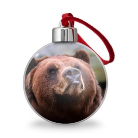 Ёлочный шар с принтом Медведь , Пластик | Диаметр: 77 мм | бурый | гризли | животные | медведь | мишка