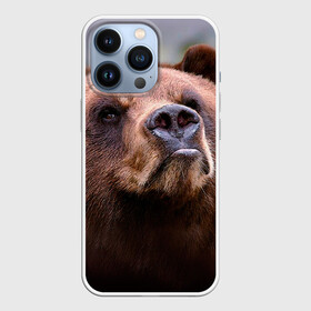 Чехол для iPhone 13 Pro с принтом Медведь ,  |  | бурый | гризли | животные | медведь | мишка