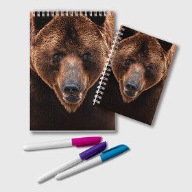 Блокнот с принтом Медведь , 100% бумага | 48 листов, плотность листов — 60 г/м2, плотность картонной обложки — 250 г/м2. Листы скреплены удобной пружинной спиралью. Цвет линий — светло-серый
 | бурый | гризли | животные | медведь | мишка