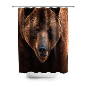Штора 3D для ванной с принтом Медведь , 100% полиэстер | плотность материала — 100 г/м2. Стандартный размер — 146 см х 180 см. По верхнему краю — пластиковые люверсы для креплений. В комплекте 10 пластиковых колец | бурый | гризли | животные | медведь | мишка