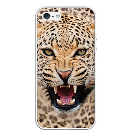 Чехол для iPhone 5/5S матовый с принтом Леопард , Силикон | Область печати: задняя сторона чехла, без боковых панелей | животные | зубы | киса | киска | кошка | леопард | оскал