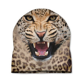 Шапка 3D с принтом Леопард , 100% полиэстер | универсальный размер, печать по всей поверхности изделия | животные | зубы | киса | киска | кошка | леопард | оскал
