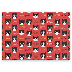 Поздравительная открытка с принтом Meow , 100% бумага | плотность бумаги 280 г/м2, матовая, на обратной стороне линовка и место для марки
 | cat | hipster | meow | style | кот | котики | кошка | хипстер | хипстеры