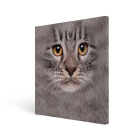 Холст квадратный с принтом Котик , 100% ПВХ |  | животное | киса | кот | котик | кошка