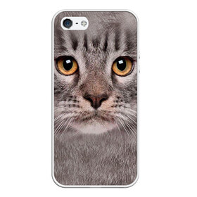 Чехол для Apple iPhone 5/5S силиконовый с принтом Котик , Силикон | Область печати: задняя сторона чехла, без боковых панелей | животное | киса | кот | котик | кошка
