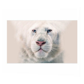 Бумага для упаковки 3D с принтом Белый лев , пластик и полированная сталь | круглая форма, металлическое крепление в виде кольца | белый лев | животные | лев