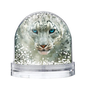 Снежный шар с принтом Снежный барс , Пластик | Изображение внутри шара печатается на глянцевой фотобумаге с двух сторон | барс | животные | кошка | снежный барс