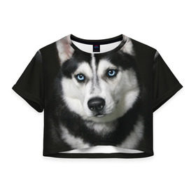 Женская футболка 3D укороченная с принтом Хаски , 100% полиэстер | круглая горловина, длина футболки до линии талии, рукава с отворотами | животные | собака | хаски