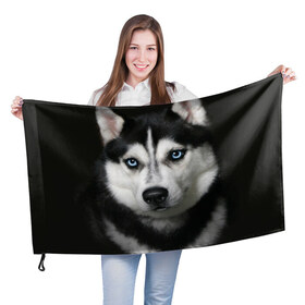 Флаг 3D с принтом Хаски , 100% полиэстер | плотность ткани — 95 г/м2, размер — 67 х 109 см. Принт наносится с одной стороны | животные | собака | хаски