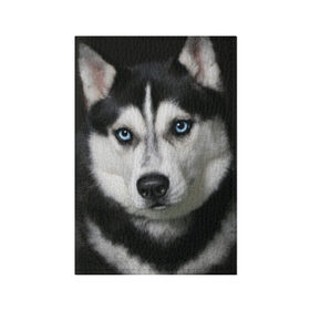Обложка для паспорта матовая кожа с принтом Хаски , натуральная матовая кожа | размер 19,3 х 13,7 см; прозрачные пластиковые крепления | Тематика изображения на принте: животные | собака | хаски