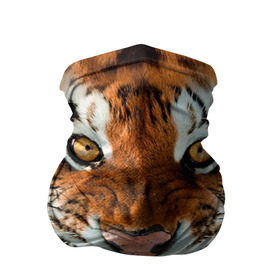 Бандана-труба 3D с принтом Тигр , 100% полиэстер, ткань с особыми свойствами — Activecool | плотность 150‒180 г/м2; хорошо тянется, но сохраняет форму | животные | зубы | кошка | тигр