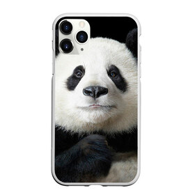 Чехол для iPhone 11 Pro матовый с принтом Панда , Силикон |  | панда