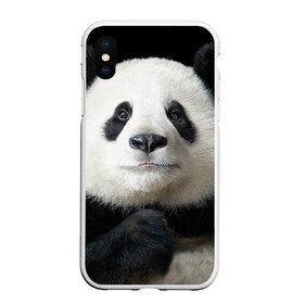 Чехол для iPhone XS Max матовый с принтом Панда , Силикон | Область печати: задняя сторона чехла, без боковых панелей | панда
