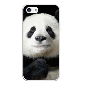 Чехол для iPhone 5/5S матовый с принтом Панда , Силикон | Область печати: задняя сторона чехла, без боковых панелей | панда
