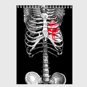 Скетчбук с принтом Скелет с сердцем , 100% бумага
 | 48 листов, плотность листов — 100 г/м2, плотность картонной обложки — 250 г/м2. Листы скреплены сверху удобной пружинной спиралью | halloween | skeleton | кровь | скелет | хэллоуин