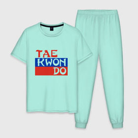 Мужская пижама хлопок с принтом Taekwondo Россия , 100% хлопок | брюки и футболка прямого кроя, без карманов, на брюках мягкая резинка на поясе и по низу штанин
 | тхэквондо