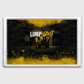 Магнит 45*70 с принтом Limp Bizkit , Пластик | Размер: 78*52 мм; Размер печати: 70*45 | bizkit | limp | limp bizkit | бизкит | лимп | лимп бизкит | лимпбизкит | рок